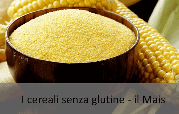I cereali senza #glutine - il Mais