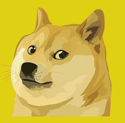 Dogecoin in rally: merito di Reddit, Twitter e Musk