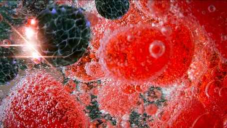 The development of the Aids virus in chronological order