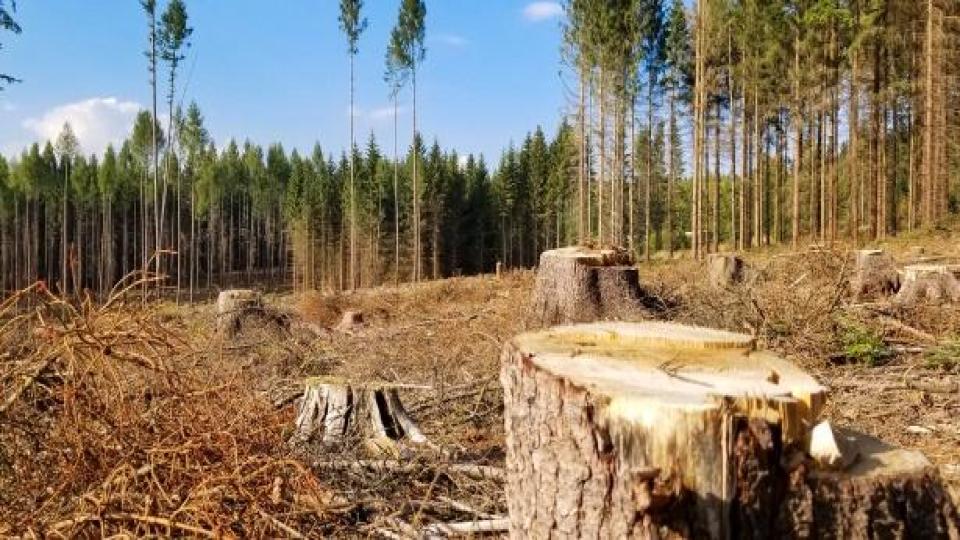 Dal G20 il rischio di greenwashing globale