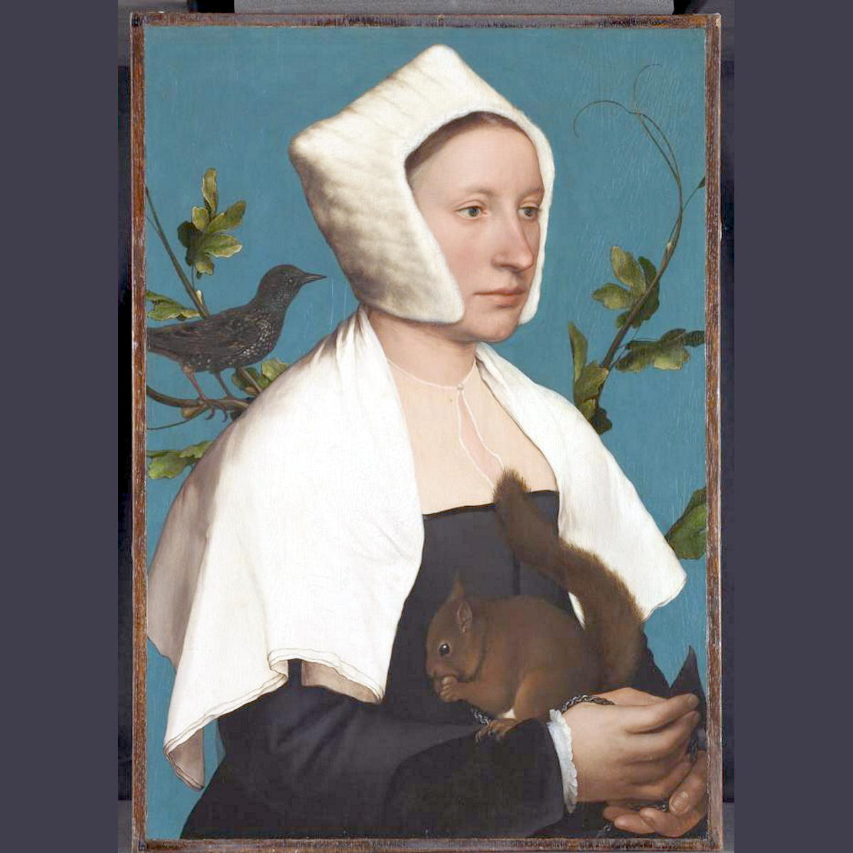 La Fornarina di Raffaello alla National Gallery di Londra e La Dama con lo scoiattolo di Hans Holbein a Palazzo Barberini