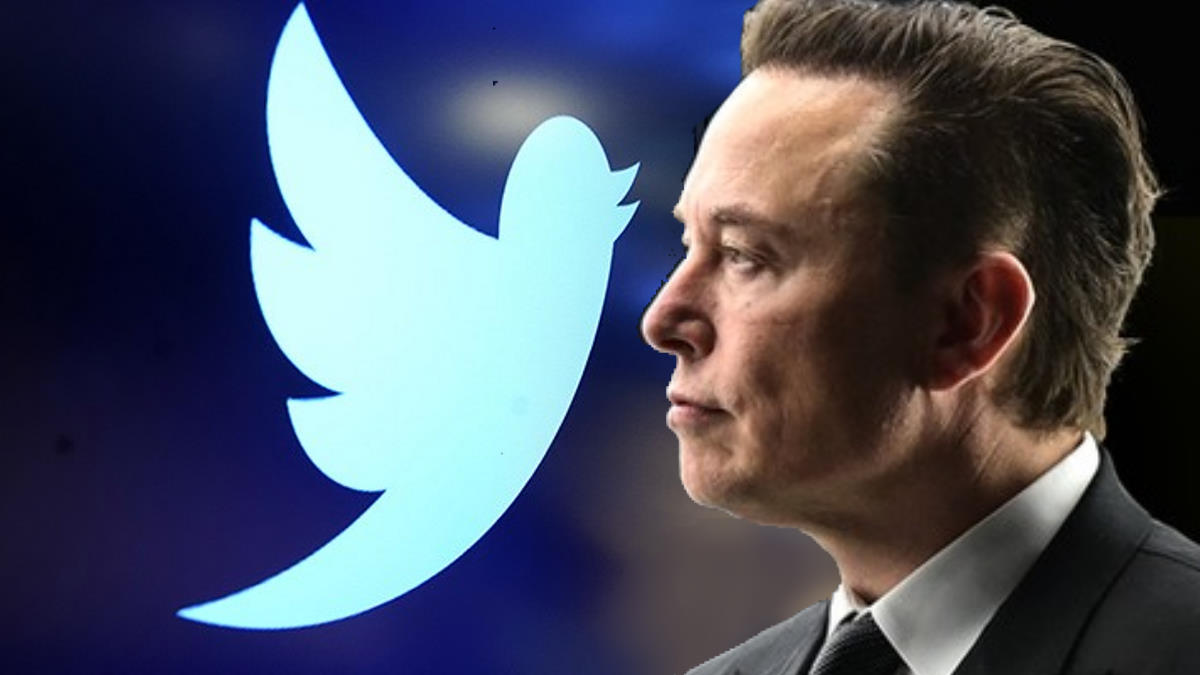 Twitter ha soddisfatto Musk sulla verifica del numero di account spam presenti sul social?