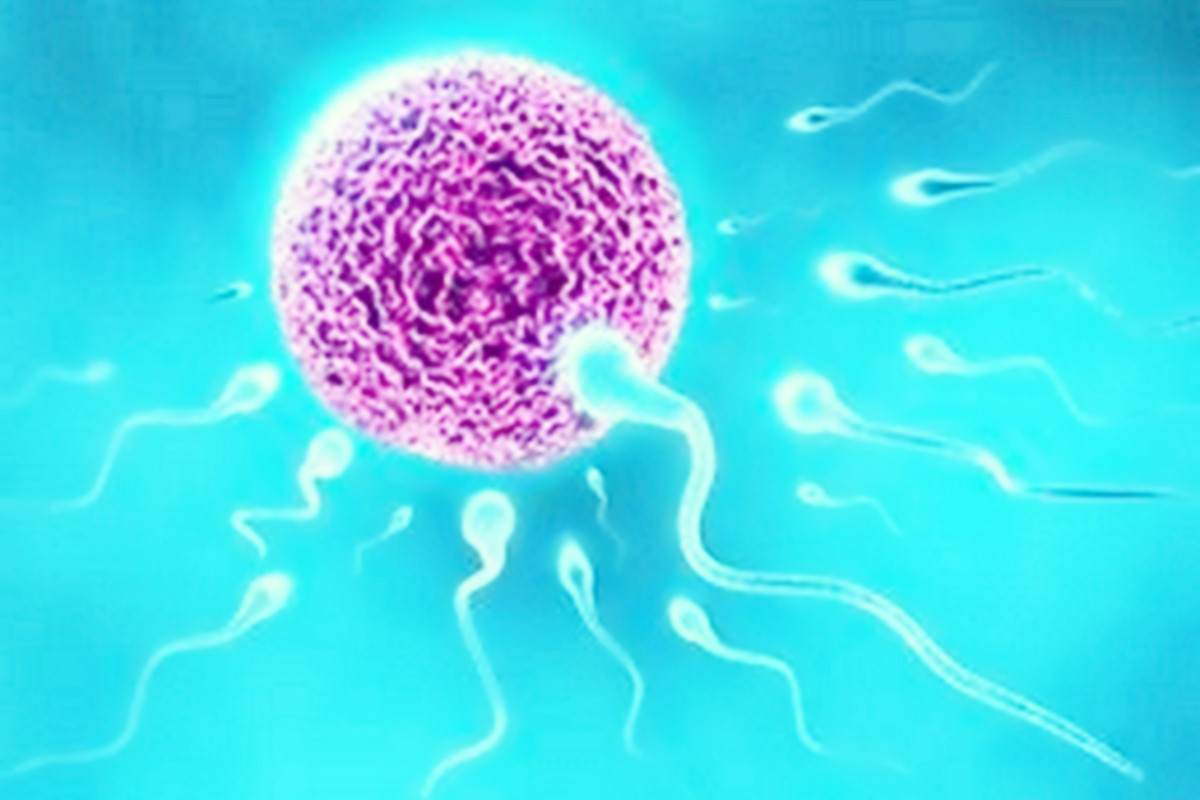 Oms: nel mondo 1 persona su 6 soffre di infertilità