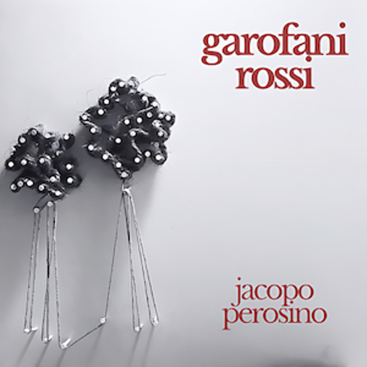 Jacopo Perosino - “Garofani rossi”