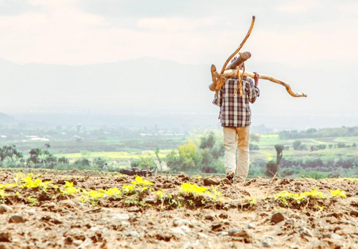 Salute e cambiamento climatico alla WHA77