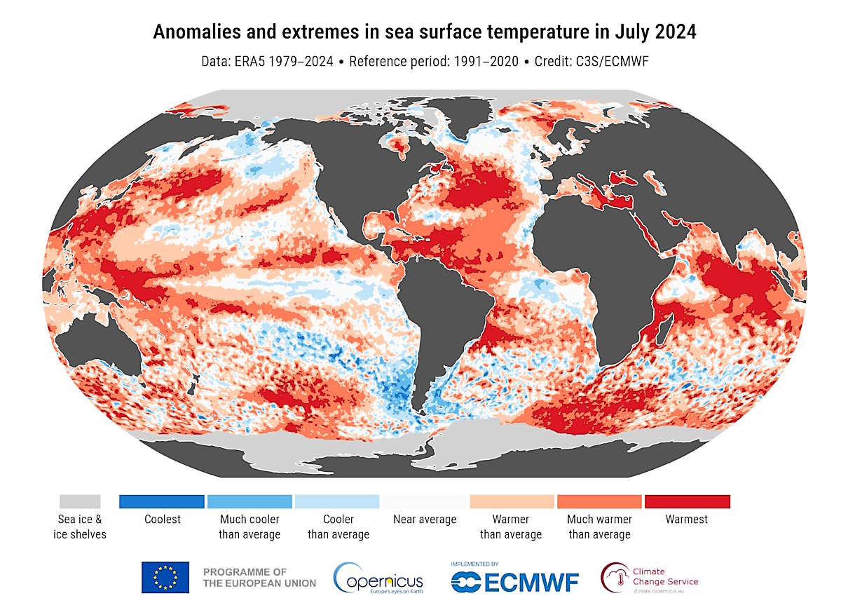 Luglio 2024 non è stato il mese più caldo di sempre... ma ha quasi pareggiato il dato del 2023