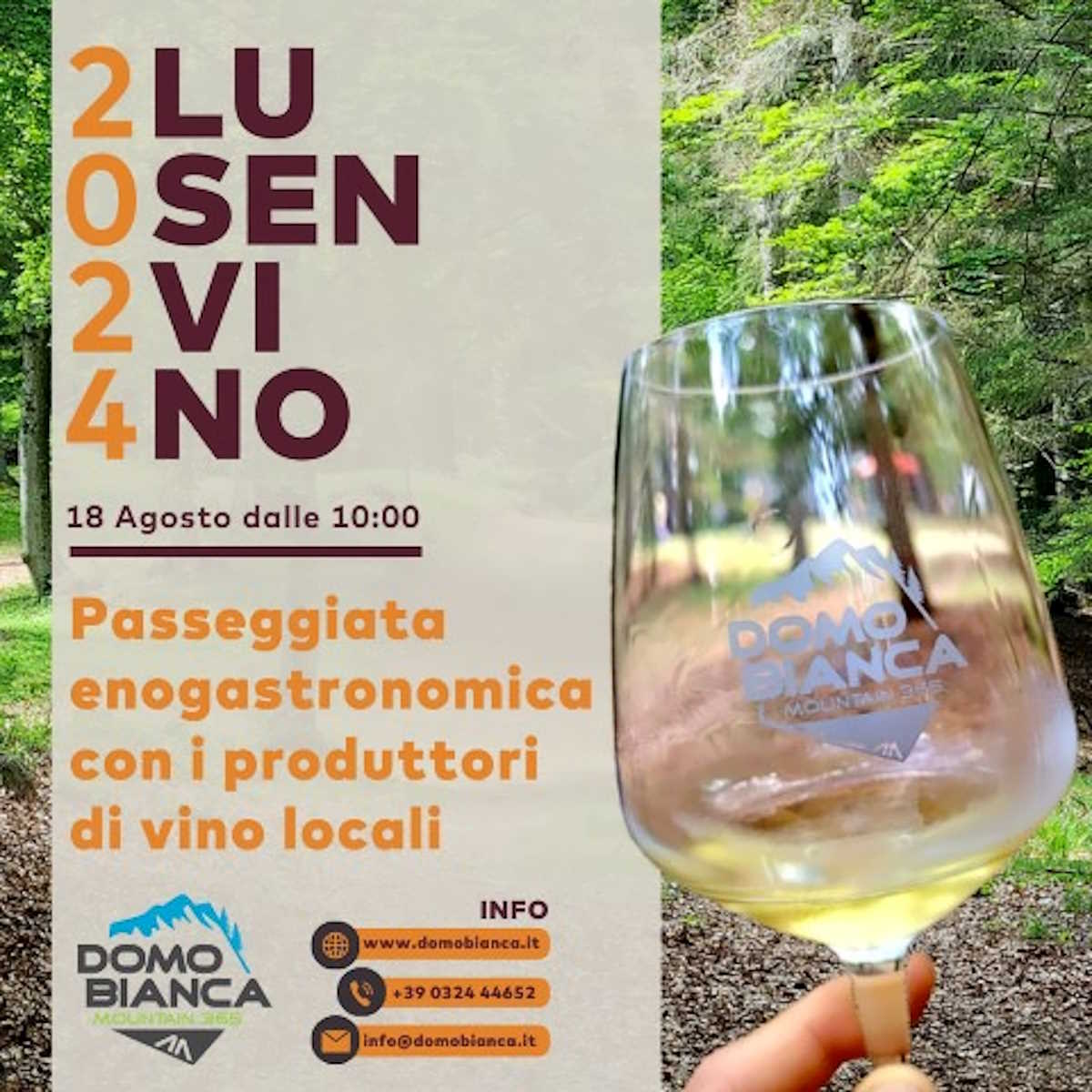 LUSENVINO 2024: a Domobianca365 un'esperienza gastronomica tra i boschi dell'Ossola