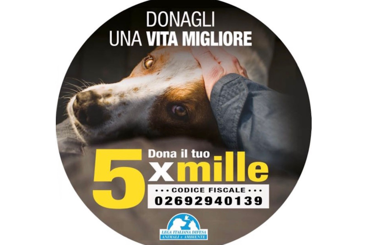 L’onorevole Michela Vittoria Brambilla è sempre in prima linea quando si tratta dalla difesa e della salvaguardia dei nostri amici animali