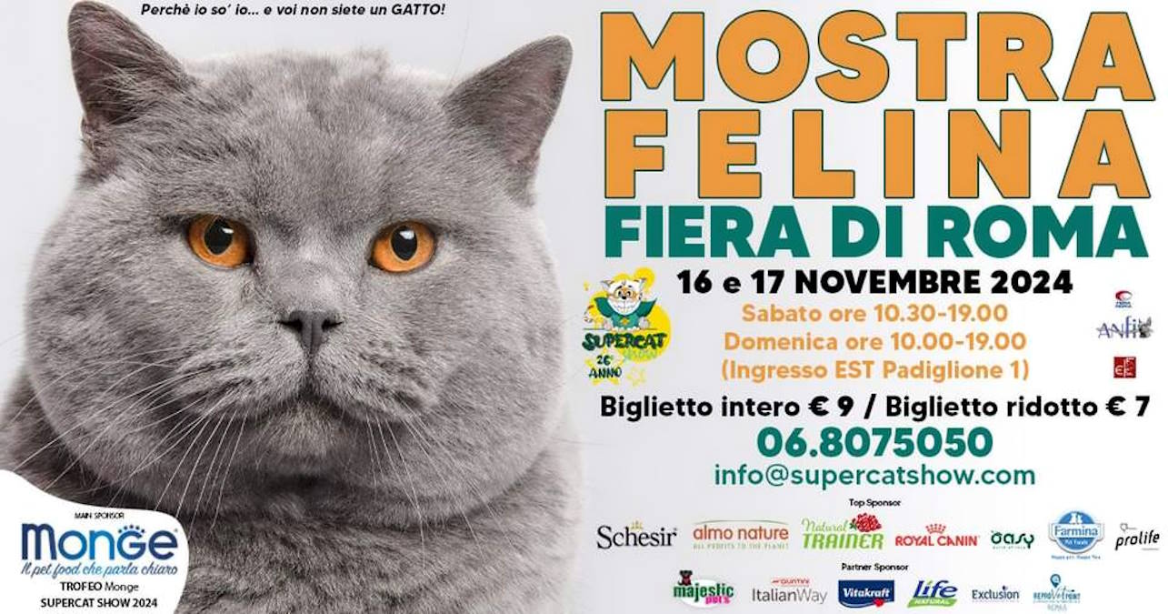 Super Cat Show: esposizione felina di Roma 2024