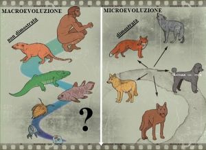 Evoluzionismo – Microevoluzione e macroevoluzione
