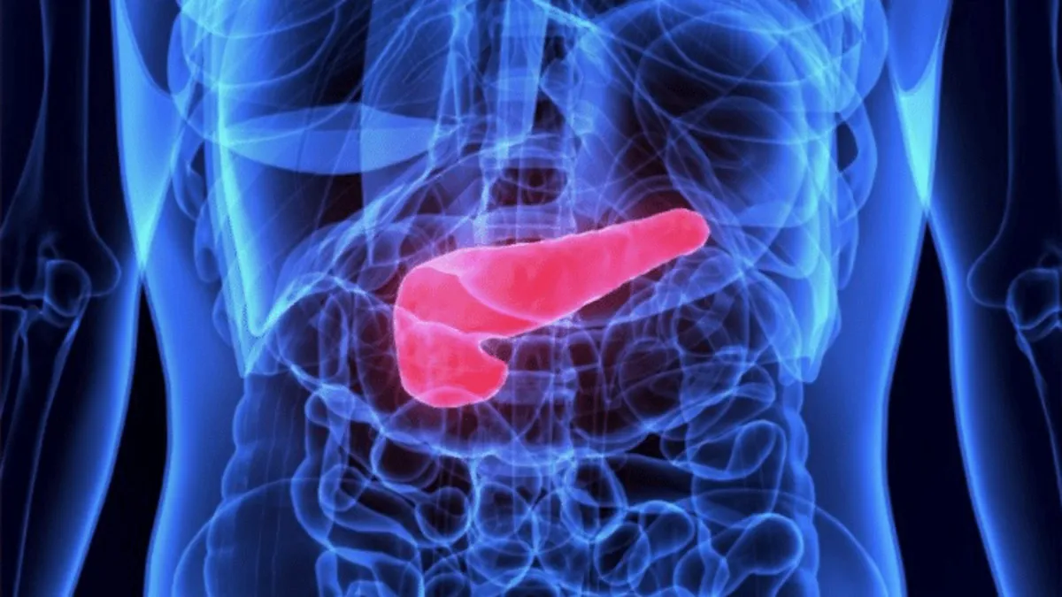 Alcol e cancro al pancreas: un legame pericoloso che non si può ignorare