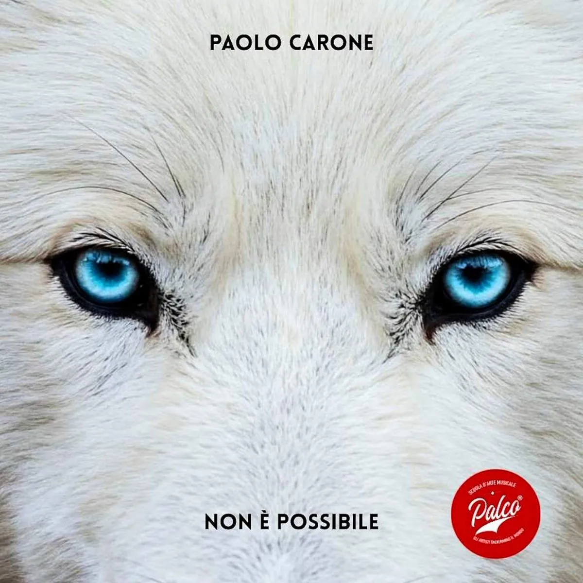 Paolo Carone torna con “Non è possibile”
