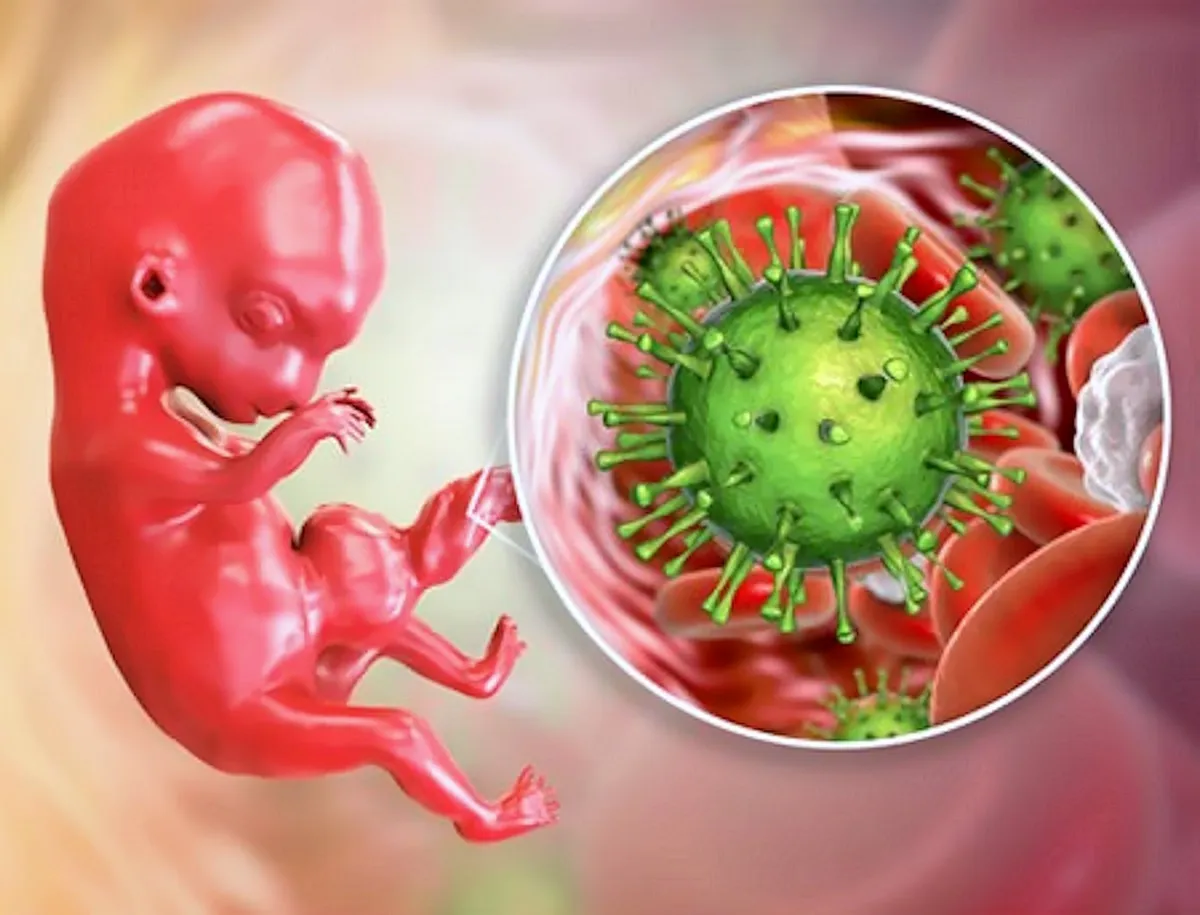 Citomegalovirus in gravidanza: anche le donne immuni possono trasmetterlo al feto, lo studio CHILd fa chiarezza