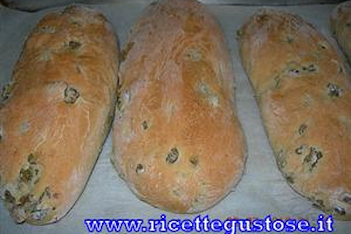 Filoncini di pane alle olive verdi