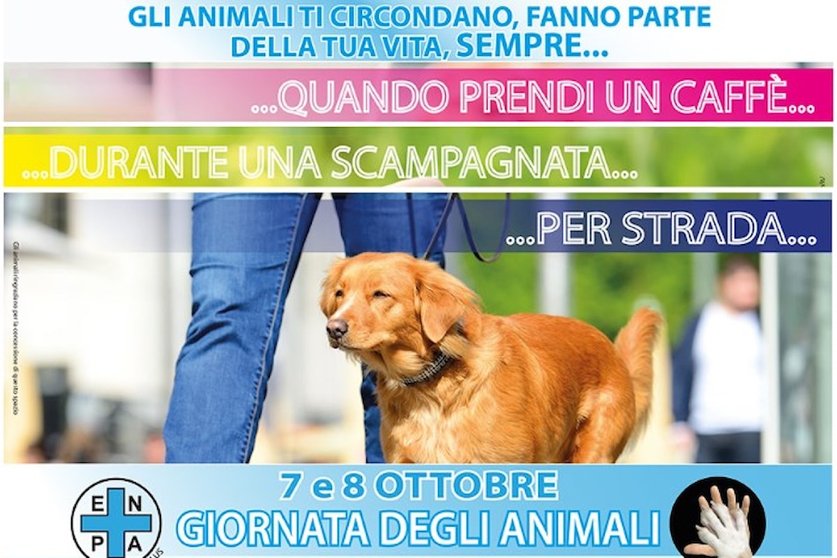 La GIORNATA DEGLI ANIMALI 2017, il 7 e l'8 ottobre in oltre 200 piazze italiane
