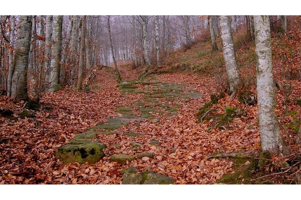 130 km a piedi: la Via degli Dei da Bologna a Firenze
