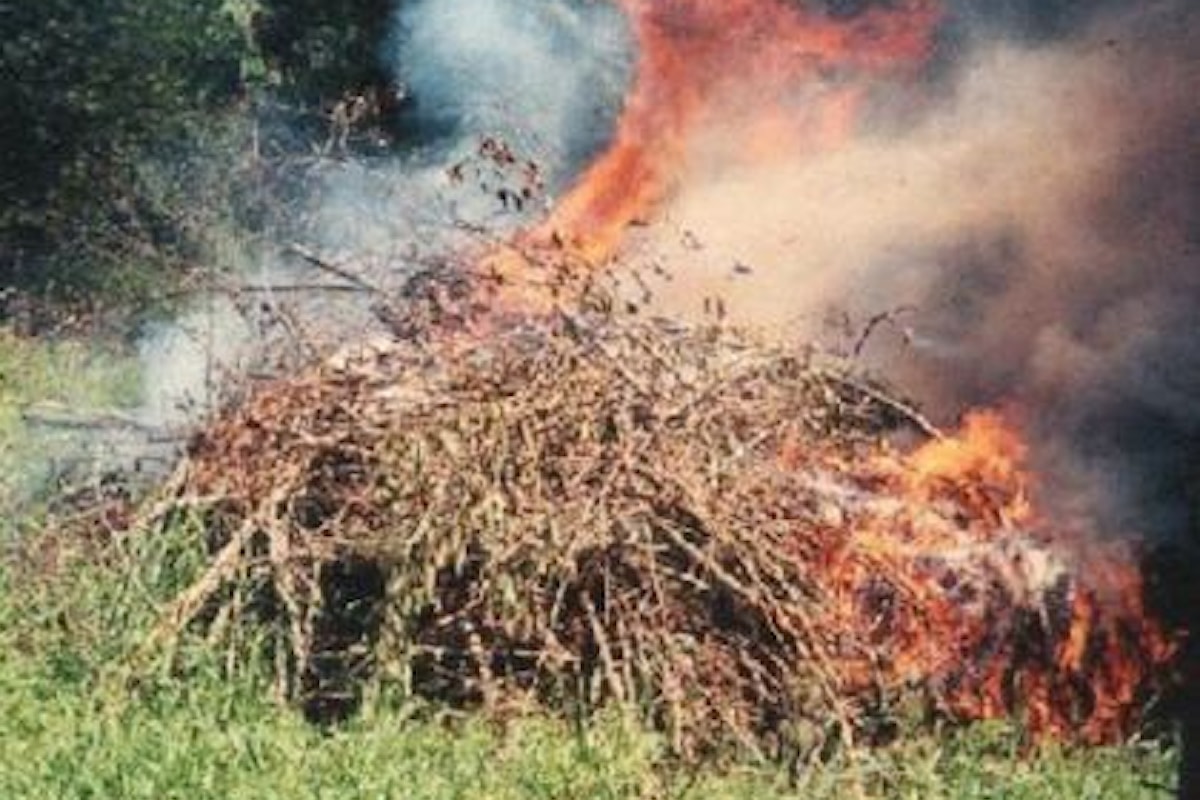 Brucia erbacce e viene avvolto dalle fiamme, contadino salernitano finisce al pronto soccorso