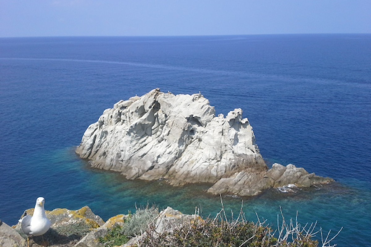 Spiagge dell'Isola d'Elba: escursione in kayak all'Enfola!