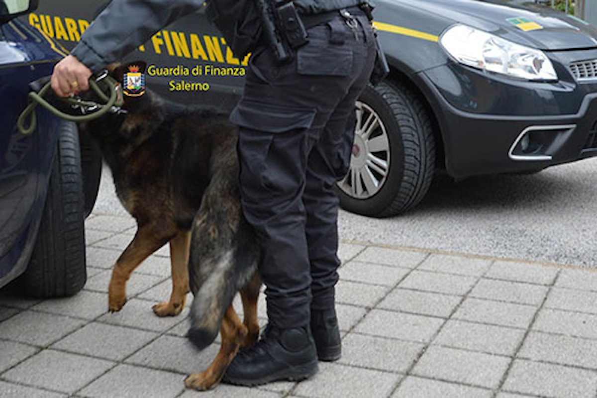 Salerno: Zebon il cane antiroga colpisce ancora, quattro denunce