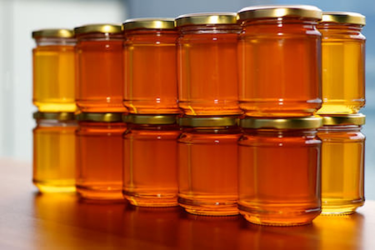 Vendere il miele italiano nel mondo
