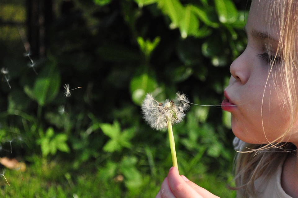 PROBIOTICI IN GRAVIDANZA CONTRO LE ALLERGIE DEI BAMBINI
