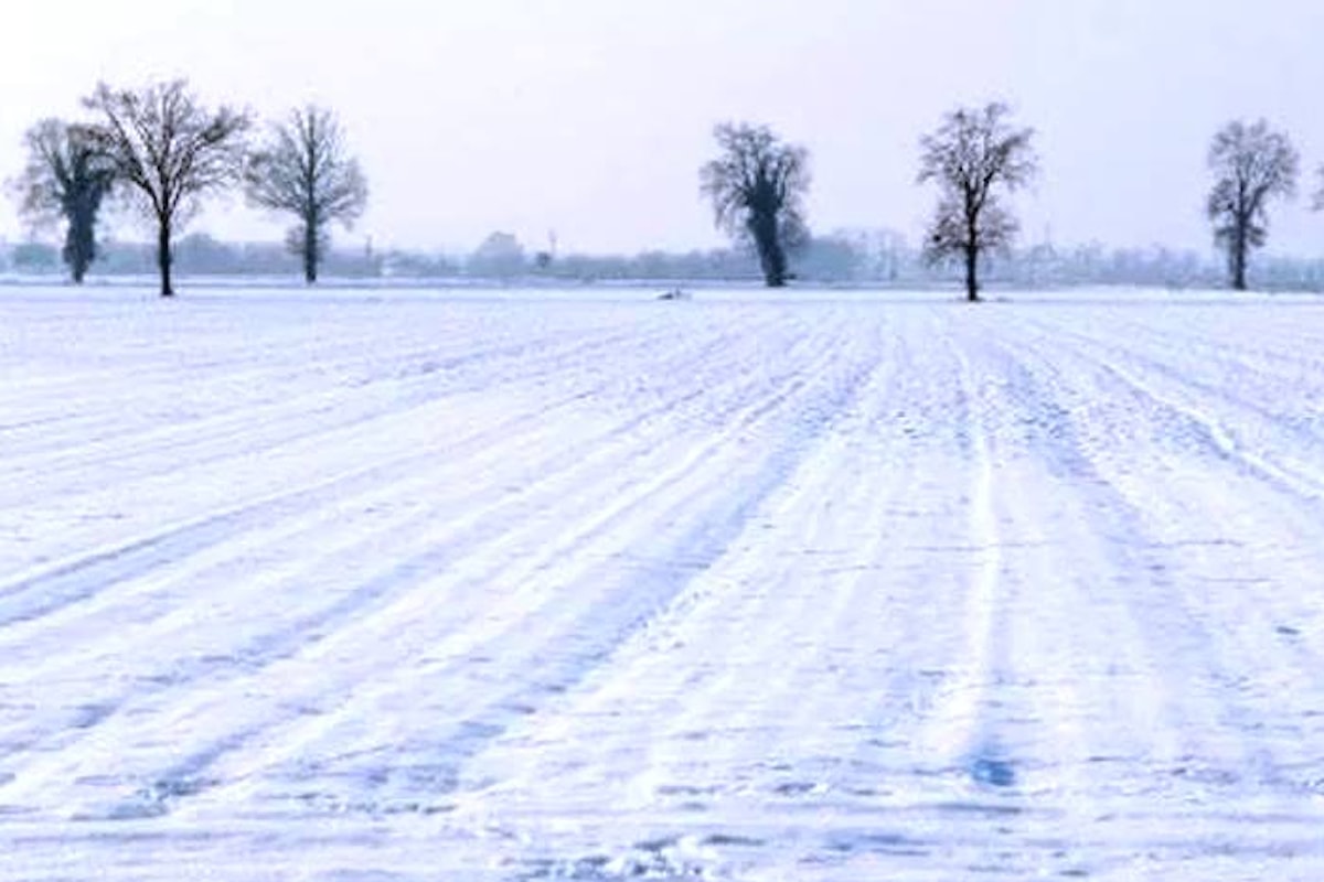 Da giovedì le prime nevicate anche in pianura a partire dal nord ovest