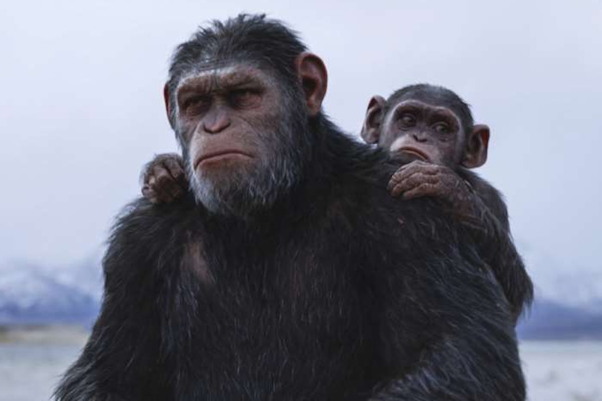20th Century Fox sostiene l'Istituto Jane Goodall per la riabilitazione degli scimpanzé in occasione dell'uscita di The War