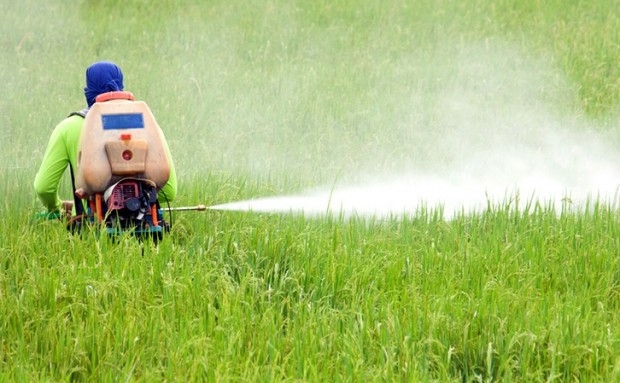 GLIFOSATO? I cittadini europei non lo vogliono. Il sondaggio di SumOfUs per fare chiarezza