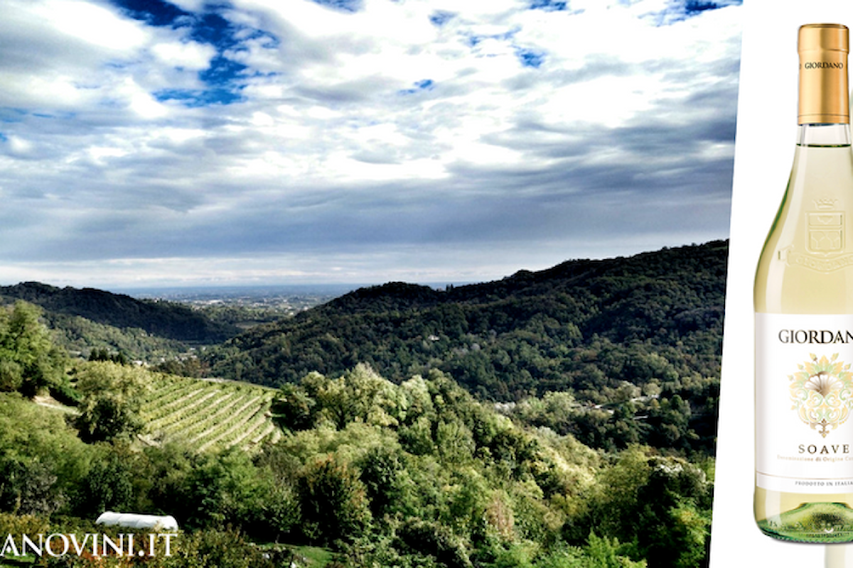 Soave DOC, un vino dal carattere internazionale: 5 abbinamenti da non perdere con piatti da tutta Europa!