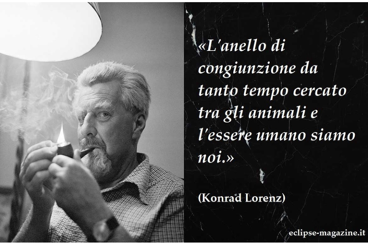 Aforisma di oggi, 10 Maggio: Konrad Lorenz