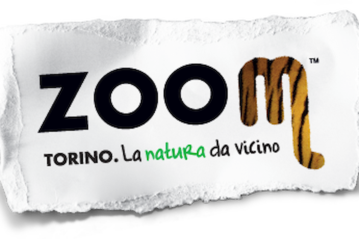 Bioparco Zoom: Ingressi Scontati