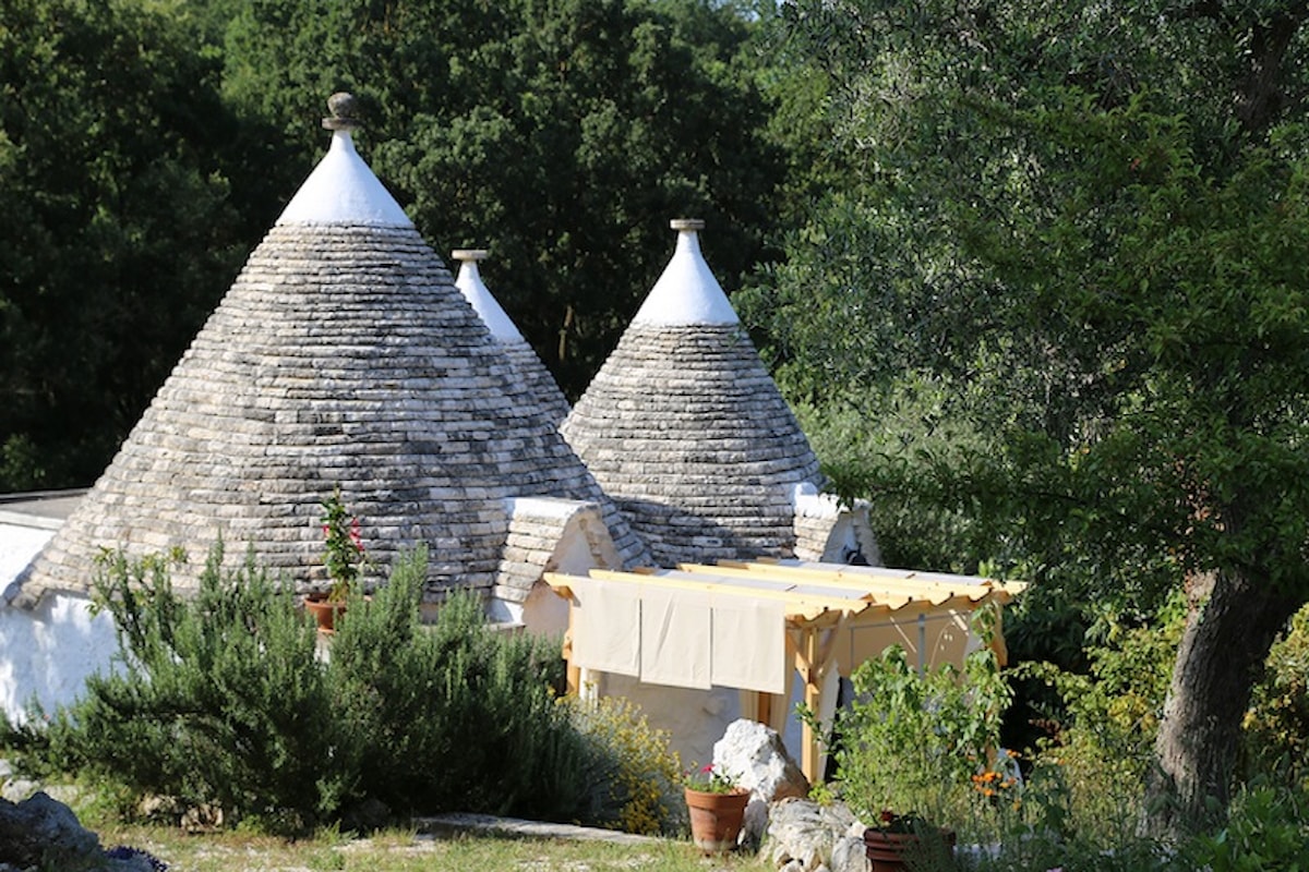 Vai in vacanza e trovi il tuo albero!