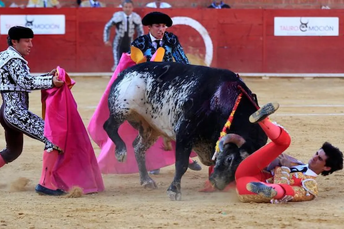 Spagna: ucciso torero in una corrida. Un morto a Valenza, feriti a Pamplona durante corse dei tori