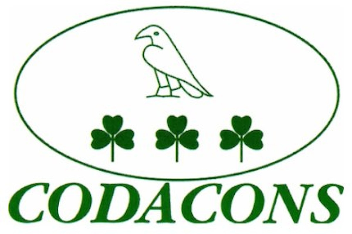 Il 12 gennaio Codacons organizza protesta davanti la sede di Consob a Roma