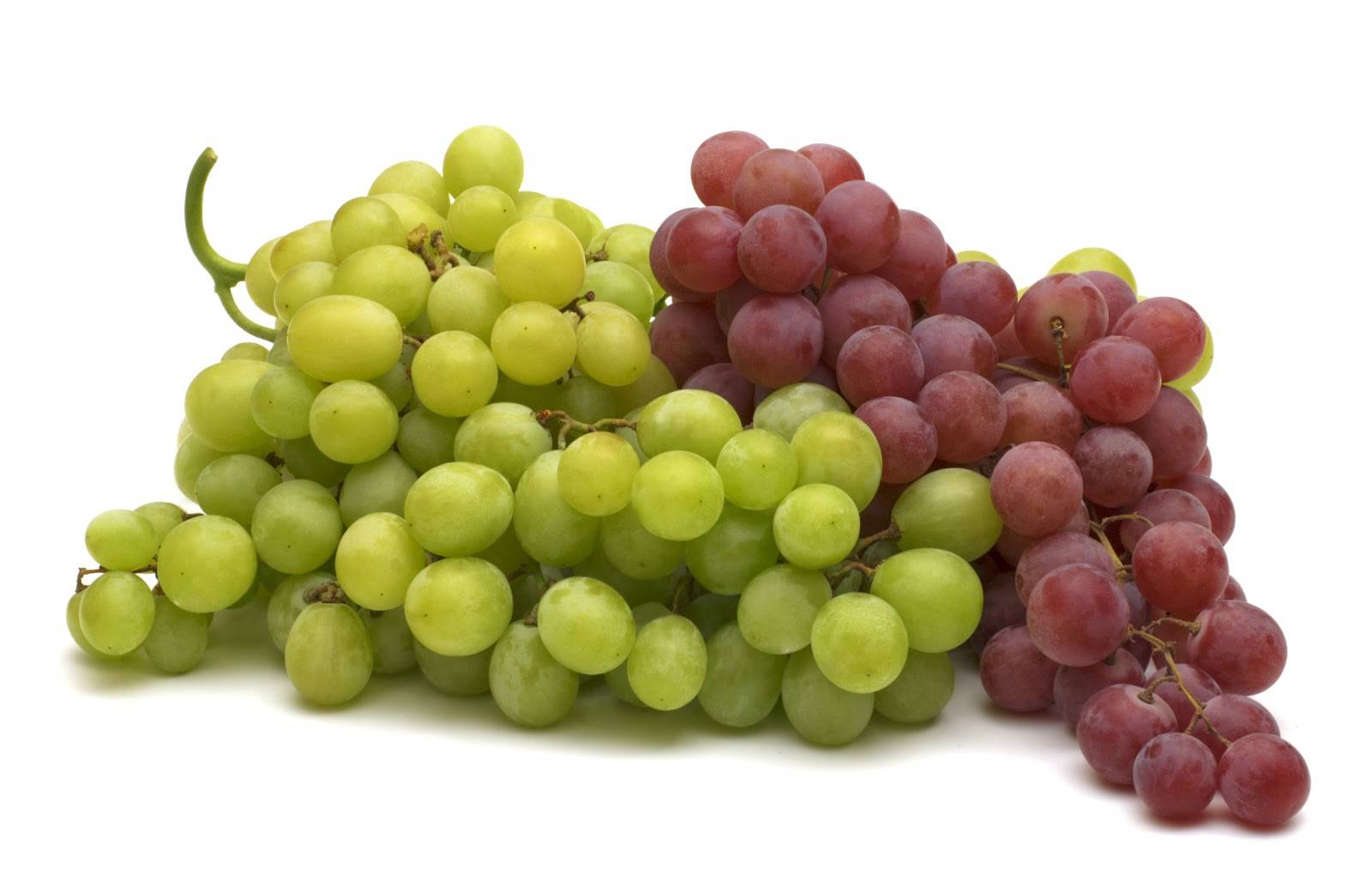 Mangiare l'uva aiuta a prevenire l'Alzheimer